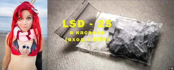 индика Краснотурьинск