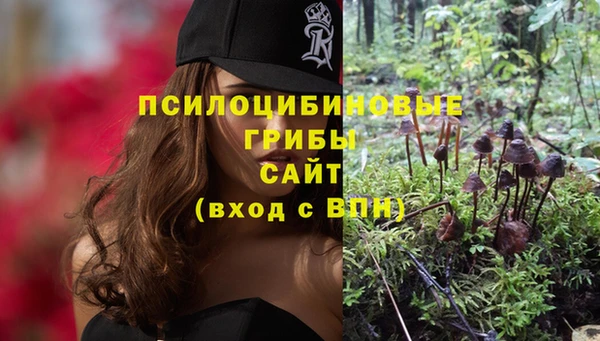 тгк Краснослободск