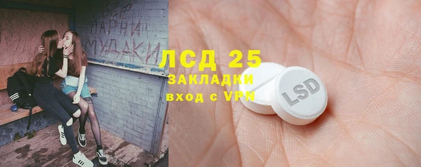 индика Краснотурьинск