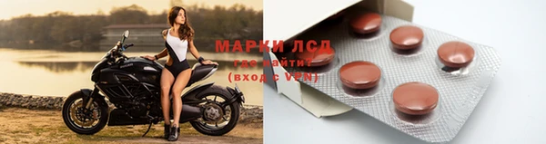 индика Краснотурьинск