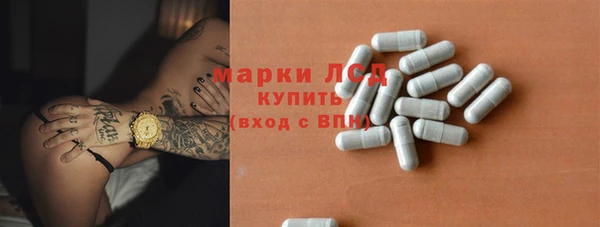 индика Краснотурьинск