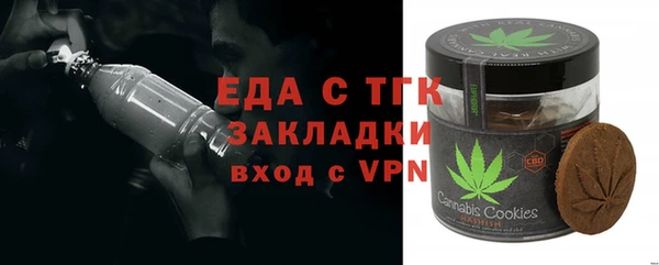 индика Краснотурьинск