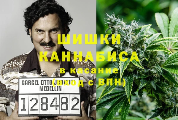 тгк Краснослободск