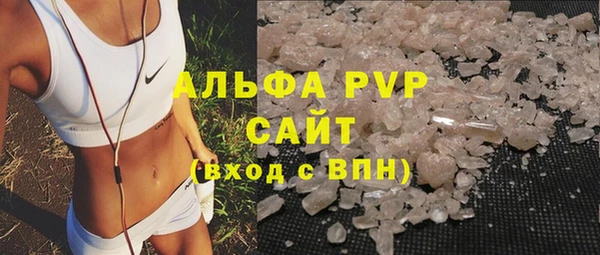 индика Краснотурьинск