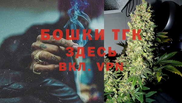 тгк Краснослободск
