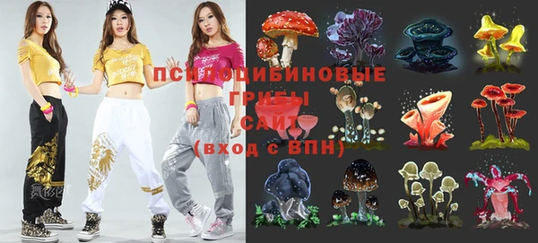 индика Краснотурьинск