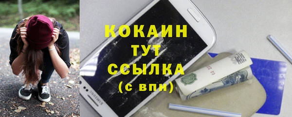 тгк Краснослободск